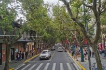 都市观光旅游巴士21