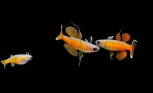 上海海洋水族馆5