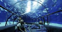 上海海洋水族馆2