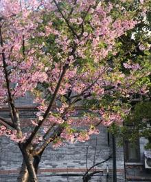 北京西路10