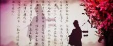 《我做了一个红楼梦》剧幕式互动光影艺术展6