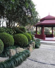 黄浦公园10