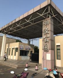 泗泾古镇30