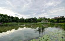 金桥公园11