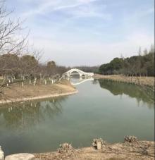 上海海湾国家森林公园32