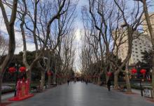 襄阳公园9