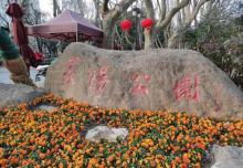襄阳公园10