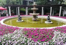 襄阳公园19