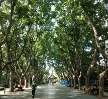 襄阳公园20