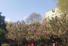 襄阳公园22