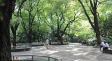 襄阳公园30