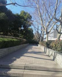 广场公园8
