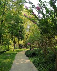 广场公园10
