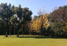 广场公园23