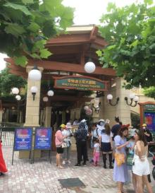 华特迪士尼大剧院17