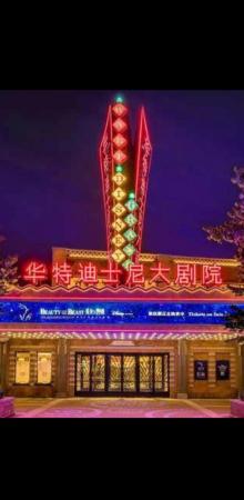 华特迪士尼大剧院29