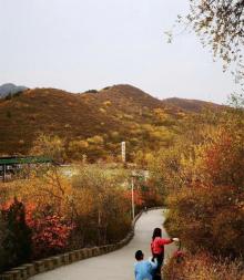 南马场水库27