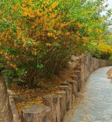 南马场水库21