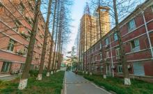 东华大学9
