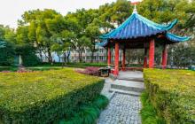 东华大学10