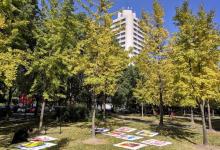 东华大学17