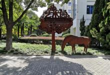 东华大学34