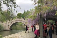 杨浦公园24
