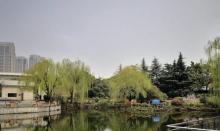 济阳公园1