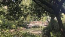 济阳公园2