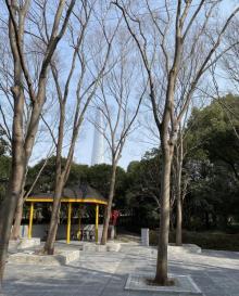 古城公园30