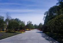 龙华烈士陵园14