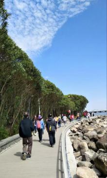 吴淞炮台湾湿地森林公园14