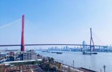 绿之丘15