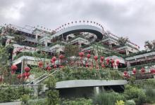 绿之丘30