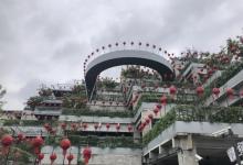 绿之丘31