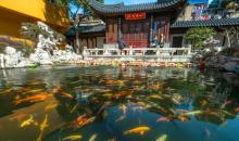 下海庙1