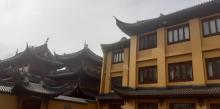 下海庙17