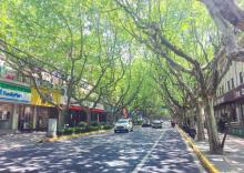 新华路1