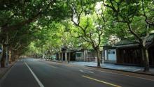 新华路5