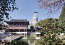 梅园公园10