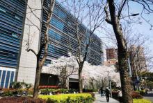 华东政法大学27