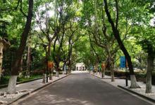 华东政法大学33