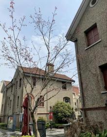 华东政法大学38