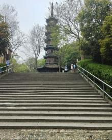 佘山国家森林公园16