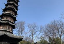 佘山国家森林公园19