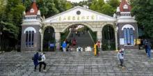 佘山国家森林公园37