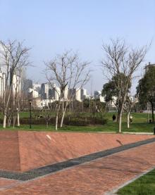 前滩休闲公园16