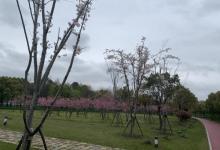 前滩休闲公园28