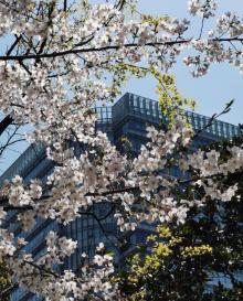 四川北路公园17