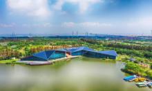 长兴岛郊野公园1